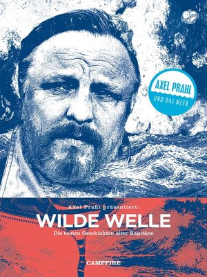 cover image of Wilde Welle